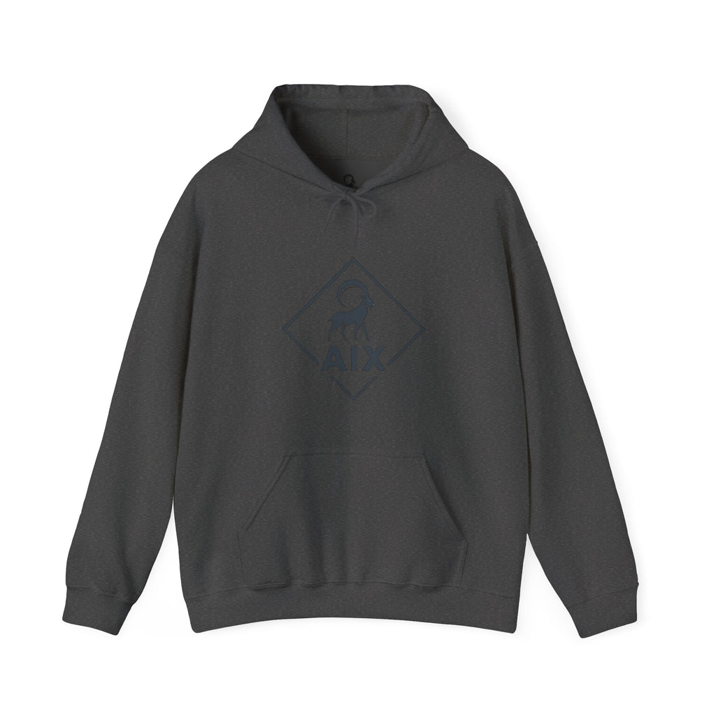 AIX Triangle Graphic Hoodie