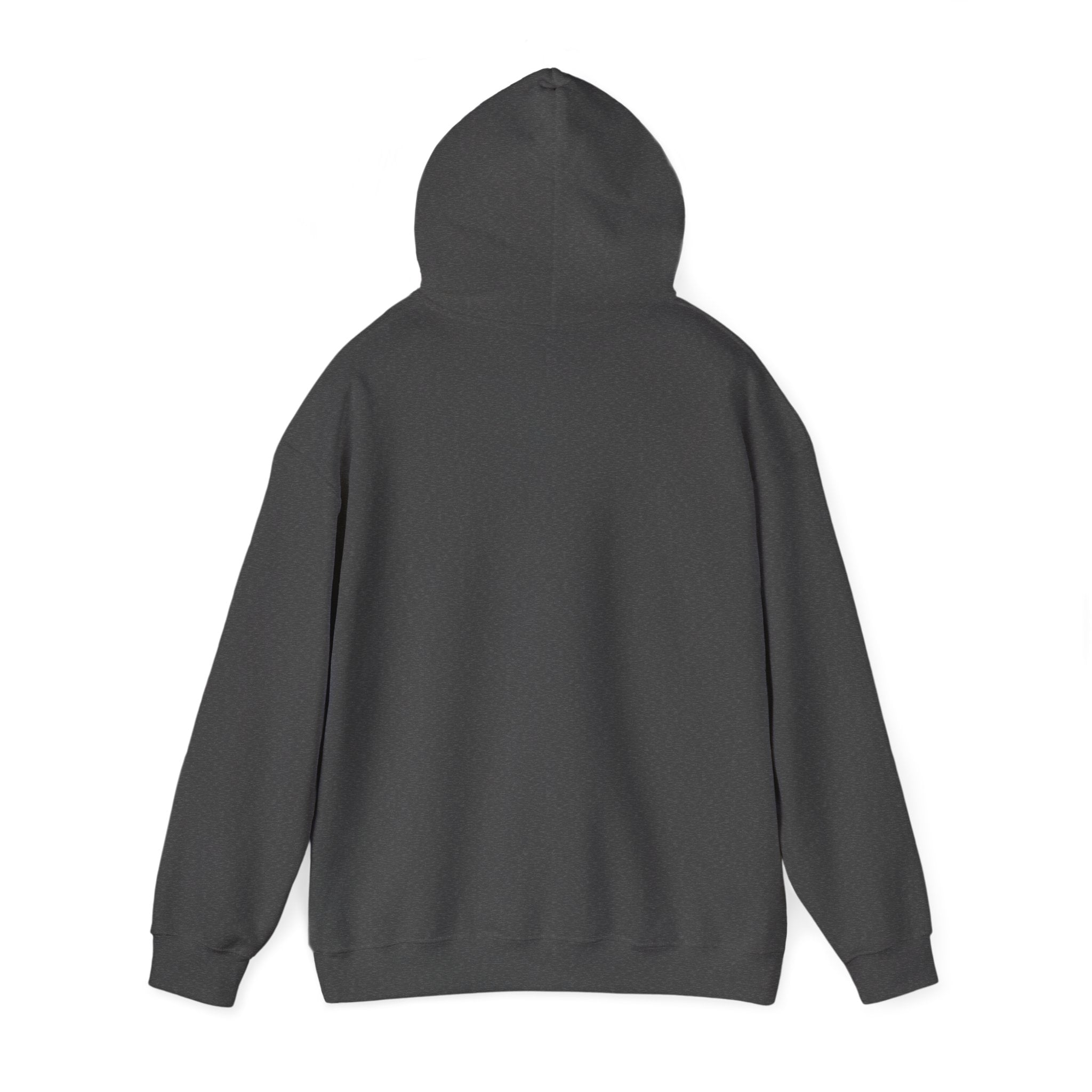 AIX Triangle Graphic Hoodie