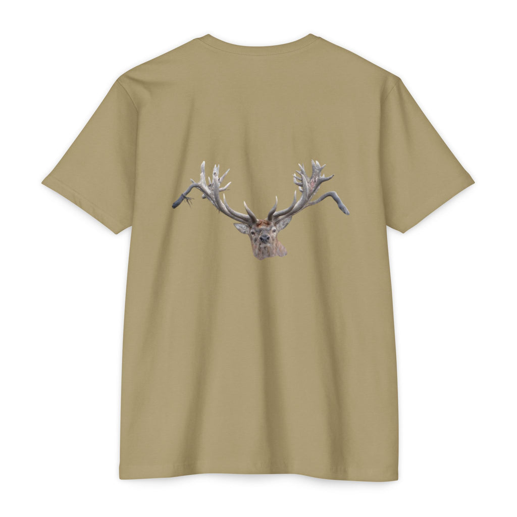 AIX New Zealand Red Stag