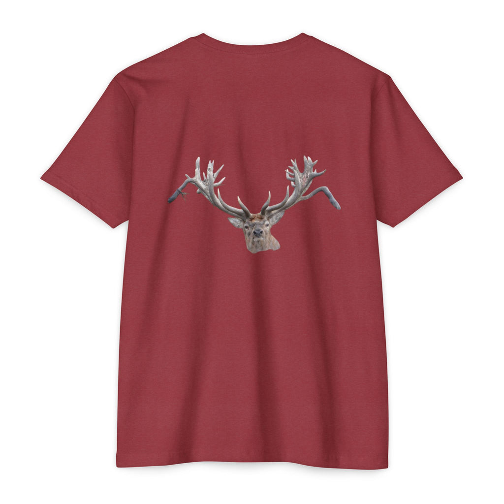 AIX New Zealand Red Stag