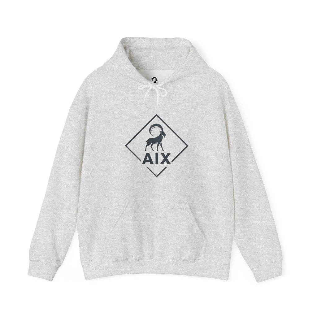 AIX Triangle Graphic Hoodie