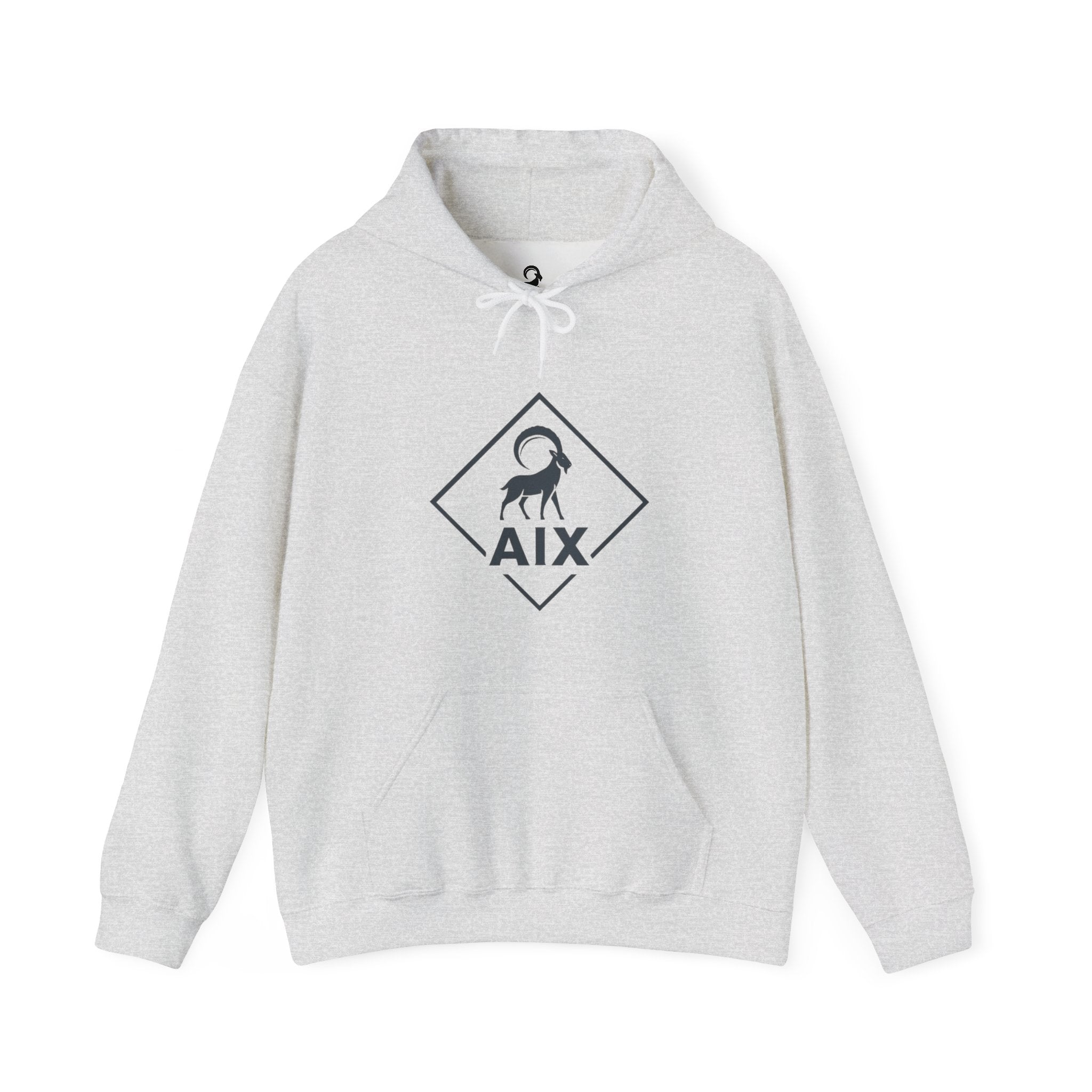 AIX Triangle Graphic Hoodie