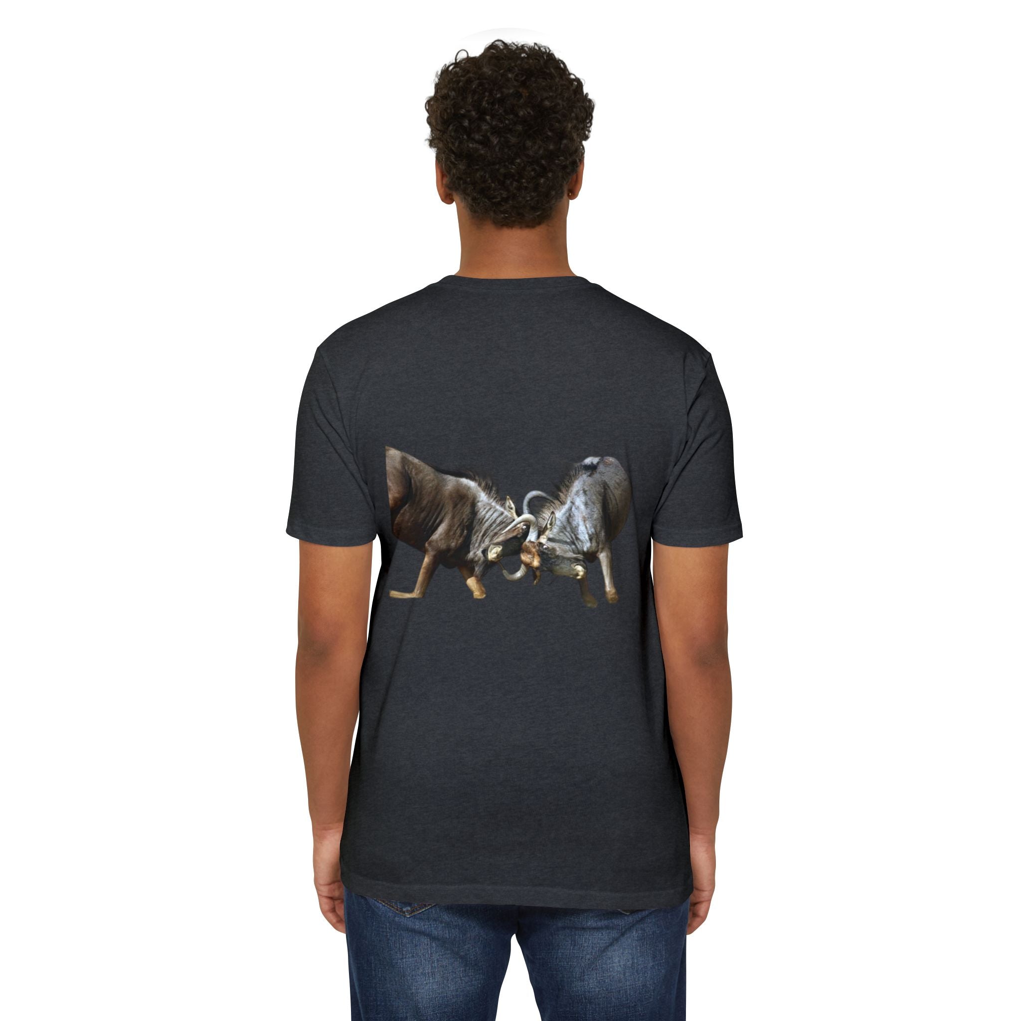 AIX Wildebeest Sparring