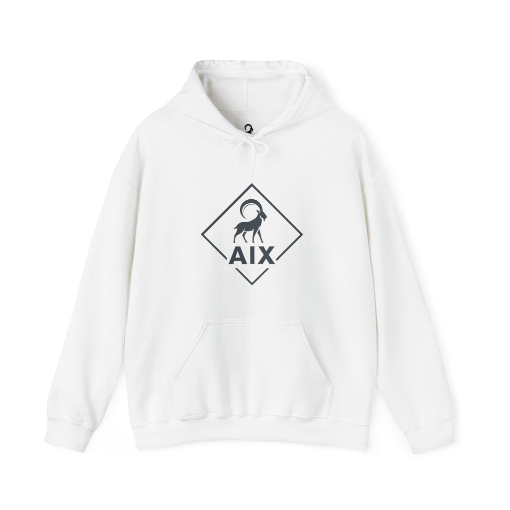 AIX Triangle Graphic Hoodie