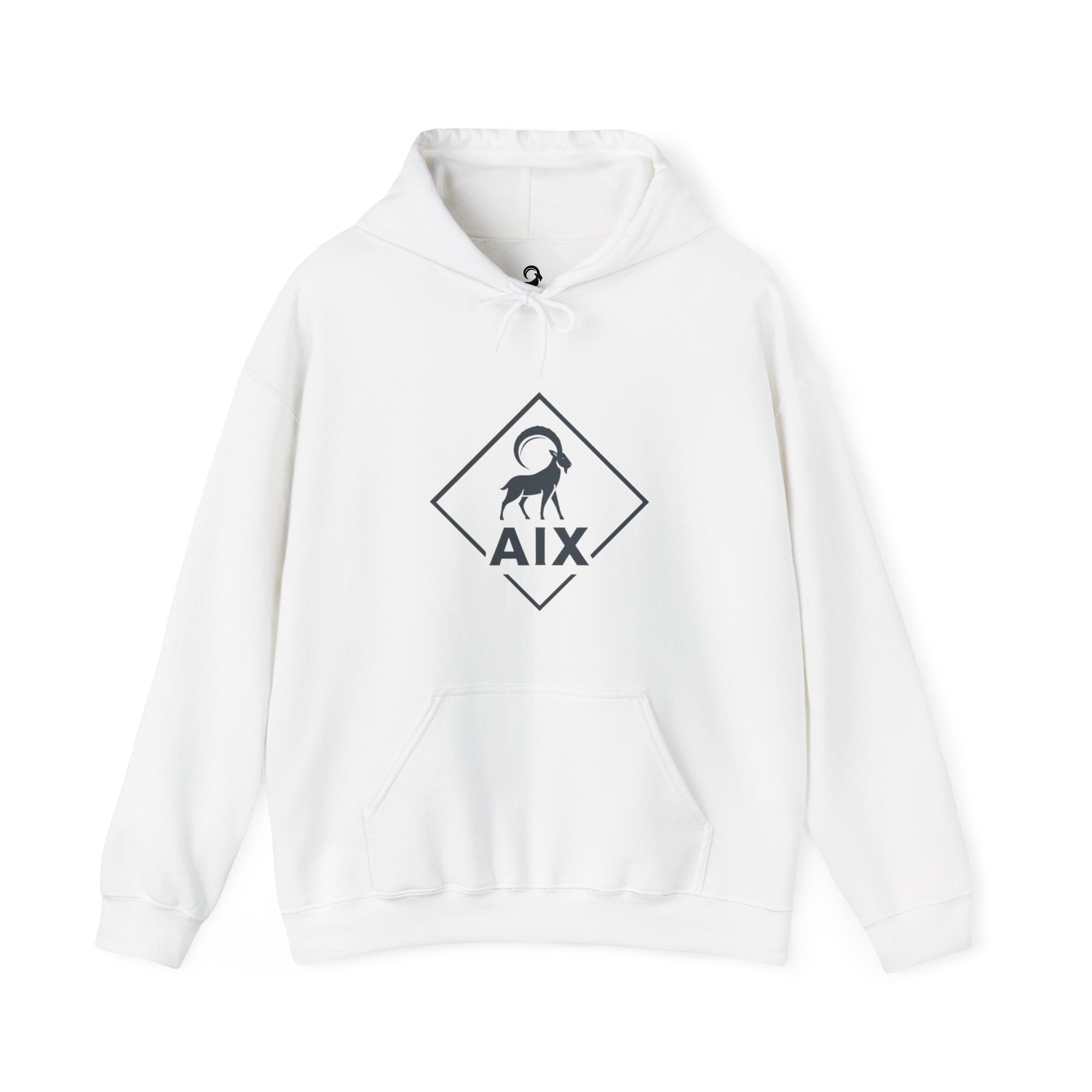 AIX Triangle Graphic Hoodie