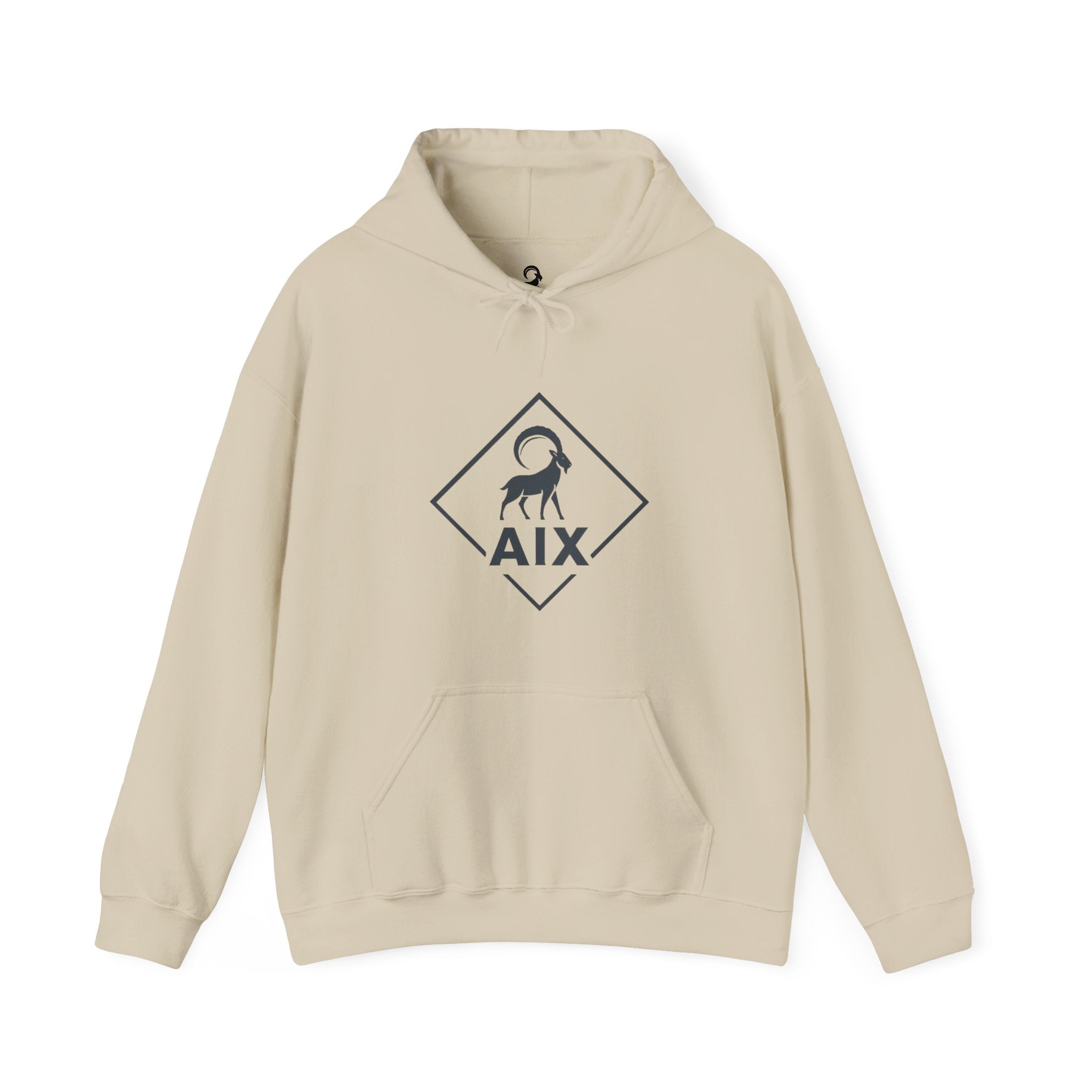 AIX Triangle Graphic Hoodie