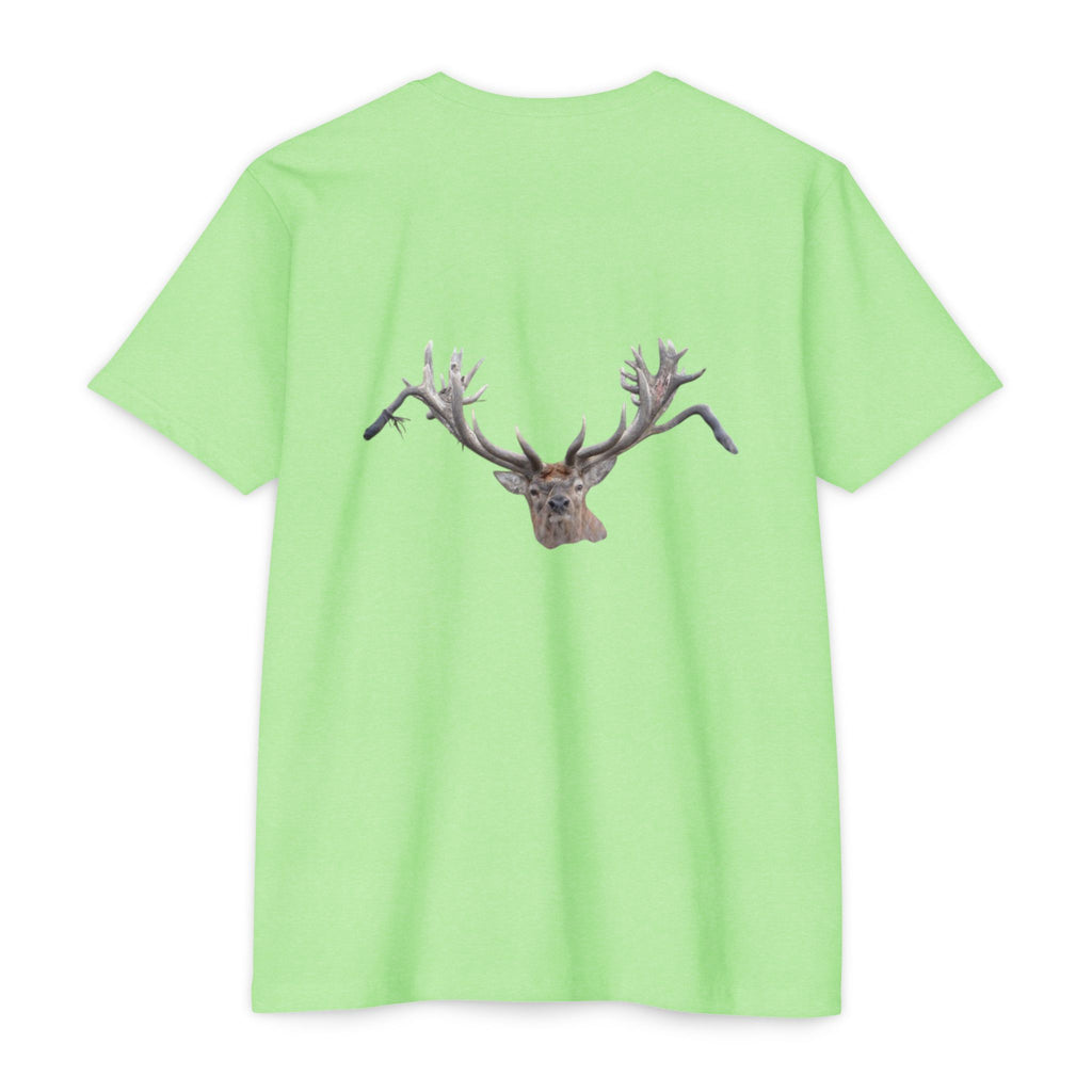 AIX New Zealand Red Stag