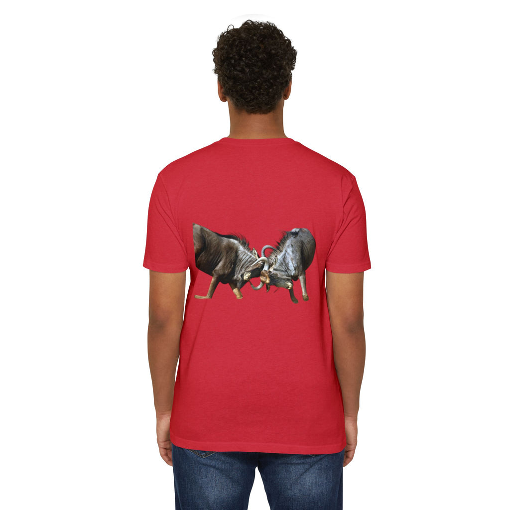 AIX Wildebeest Sparring