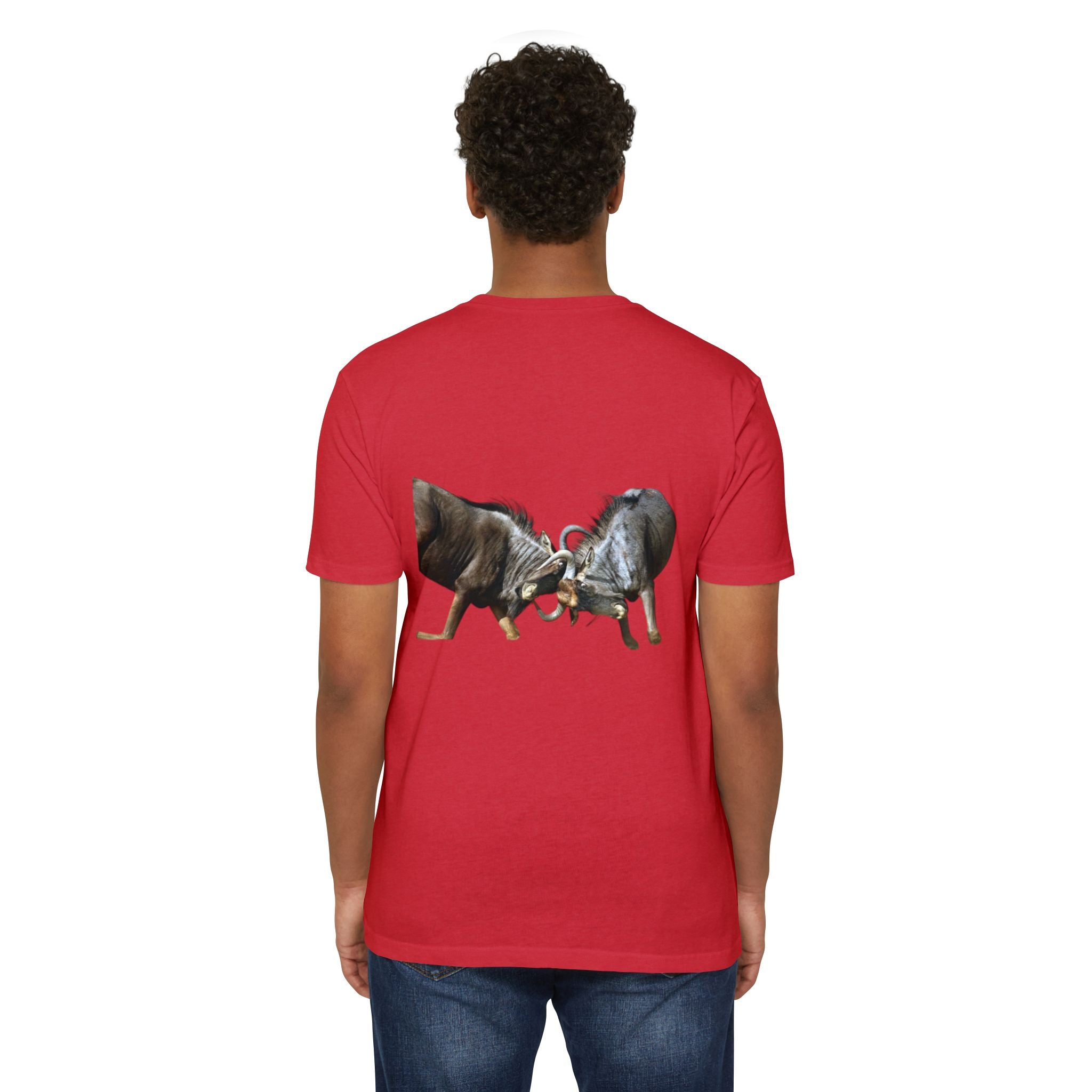 AIX Wildebeest Sparring