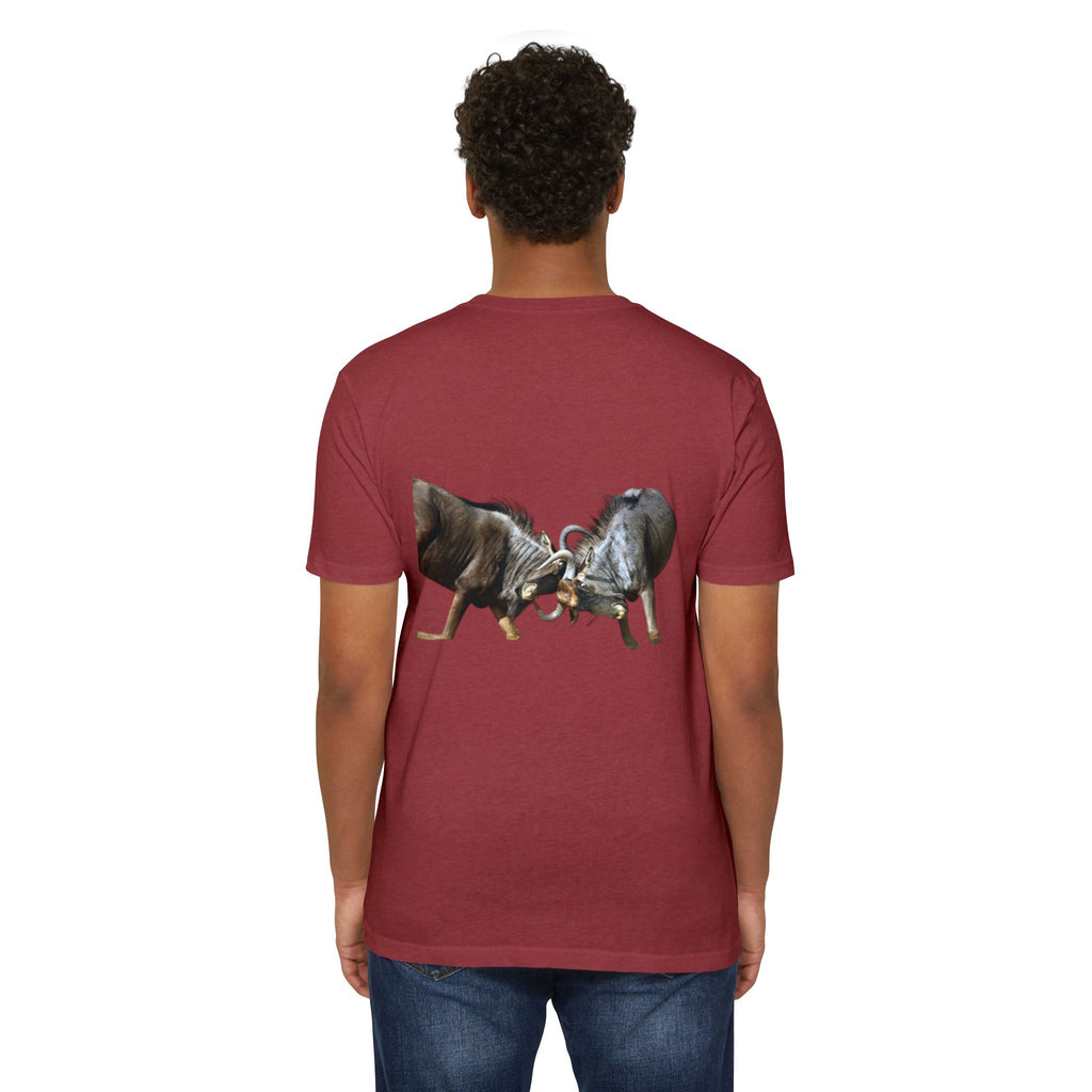 AIX Wildebeest Sparring