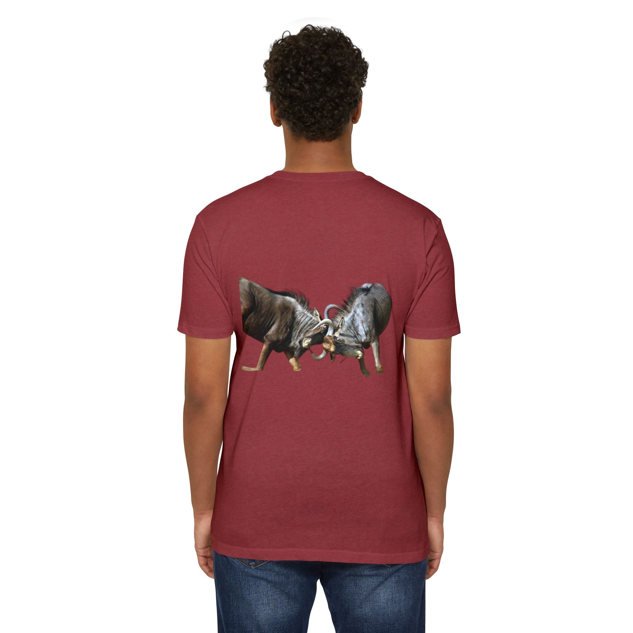 AIX Wildebeest Sparring