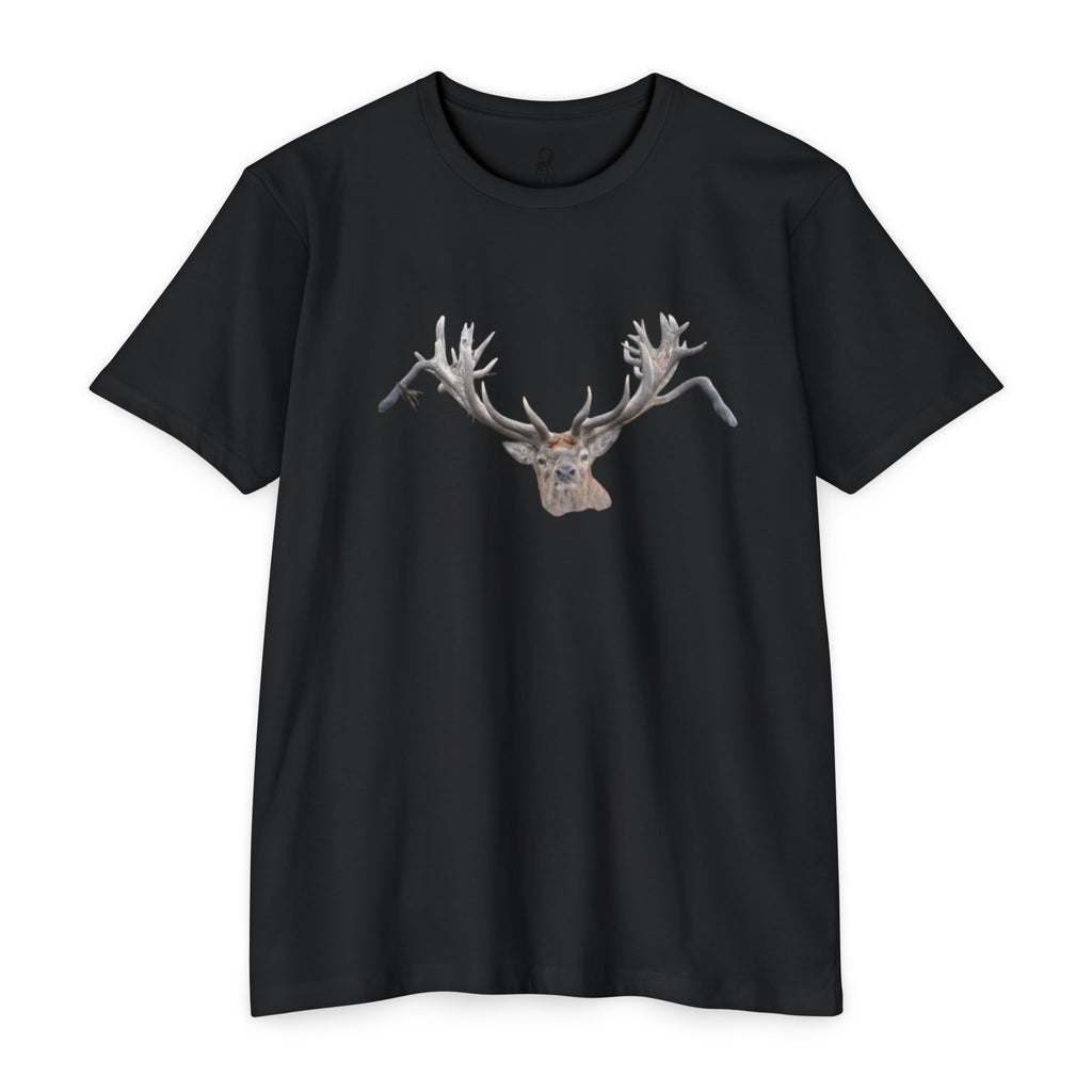 AIX Front Red Stag