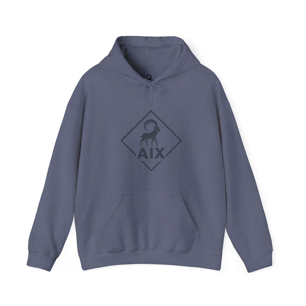 AIX Triangle Graphic Hoodie