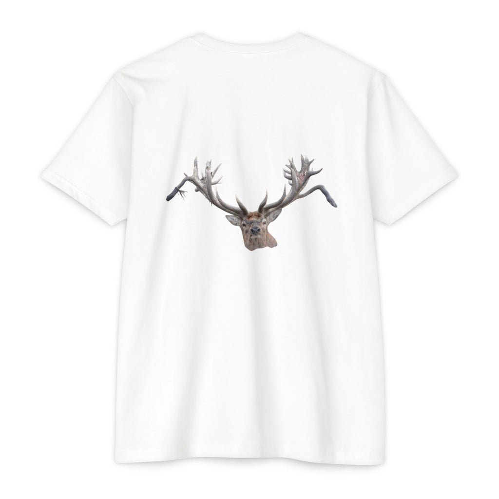 AIX New Zealand Red Stag