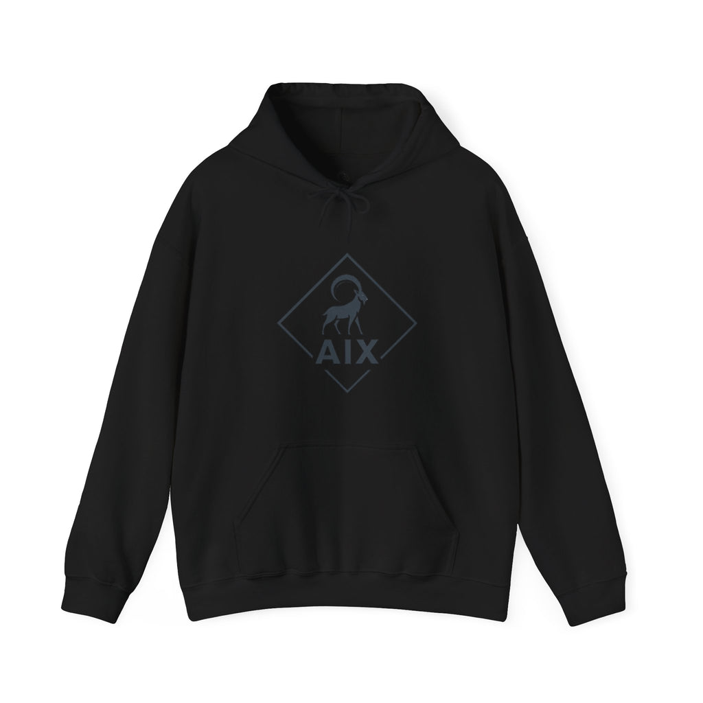 AIX Triangle Graphic Hoodie