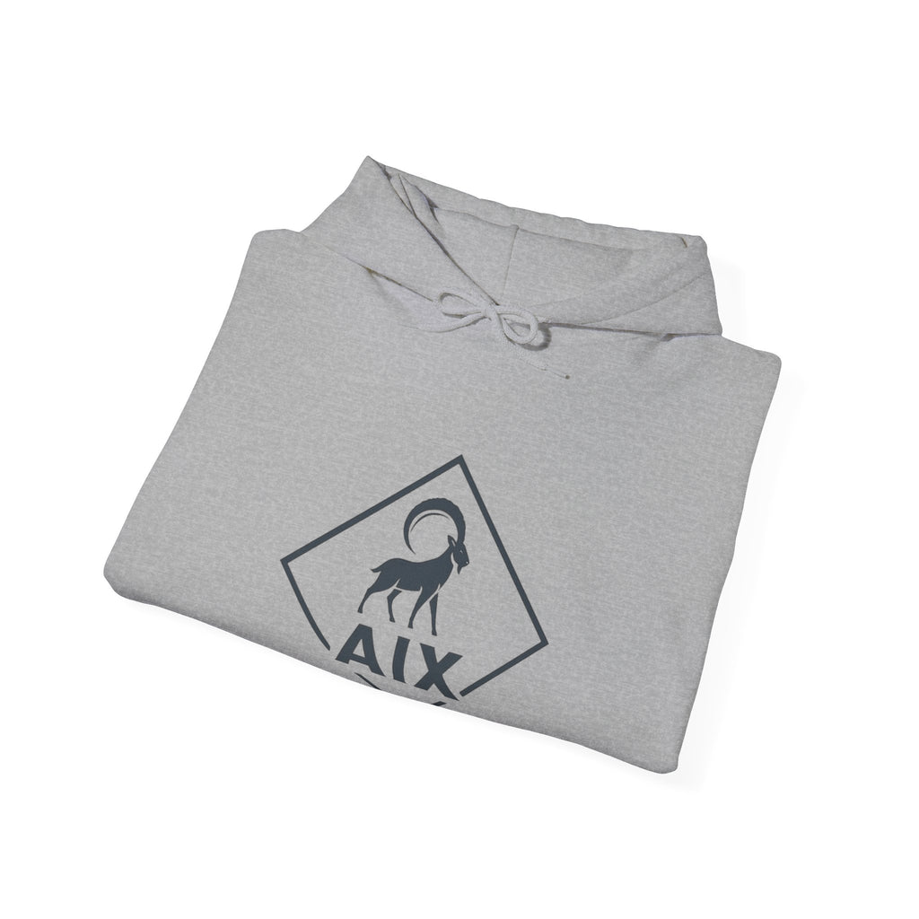 AIX Triangle Graphic Hoodie