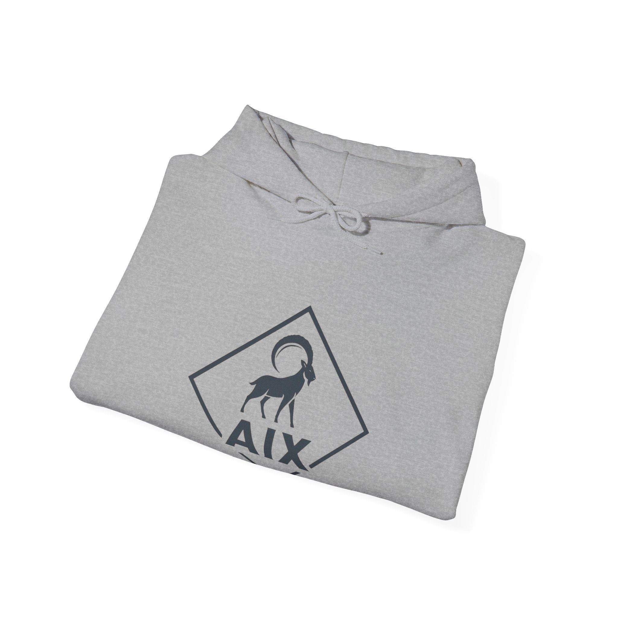 AIX Triangle Graphic Hoodie
