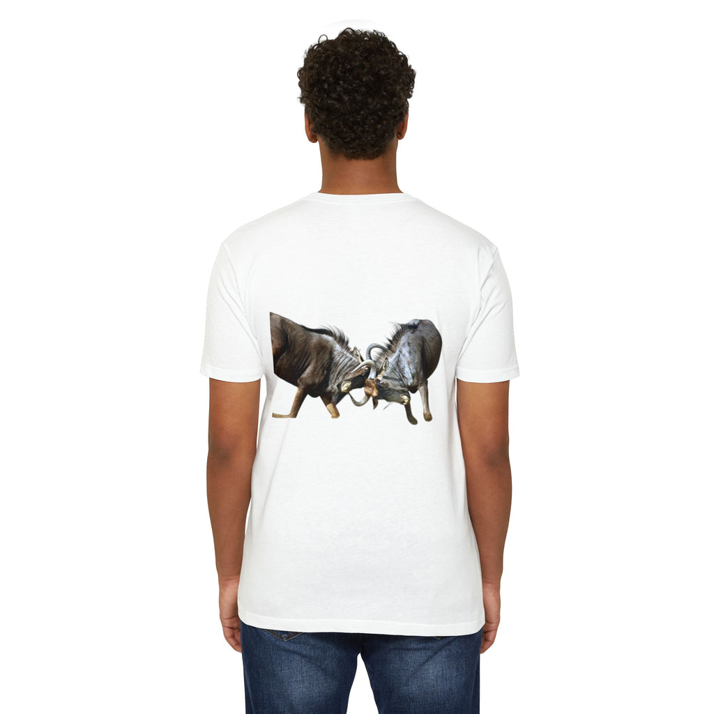 AIX Wildebeest Sparring