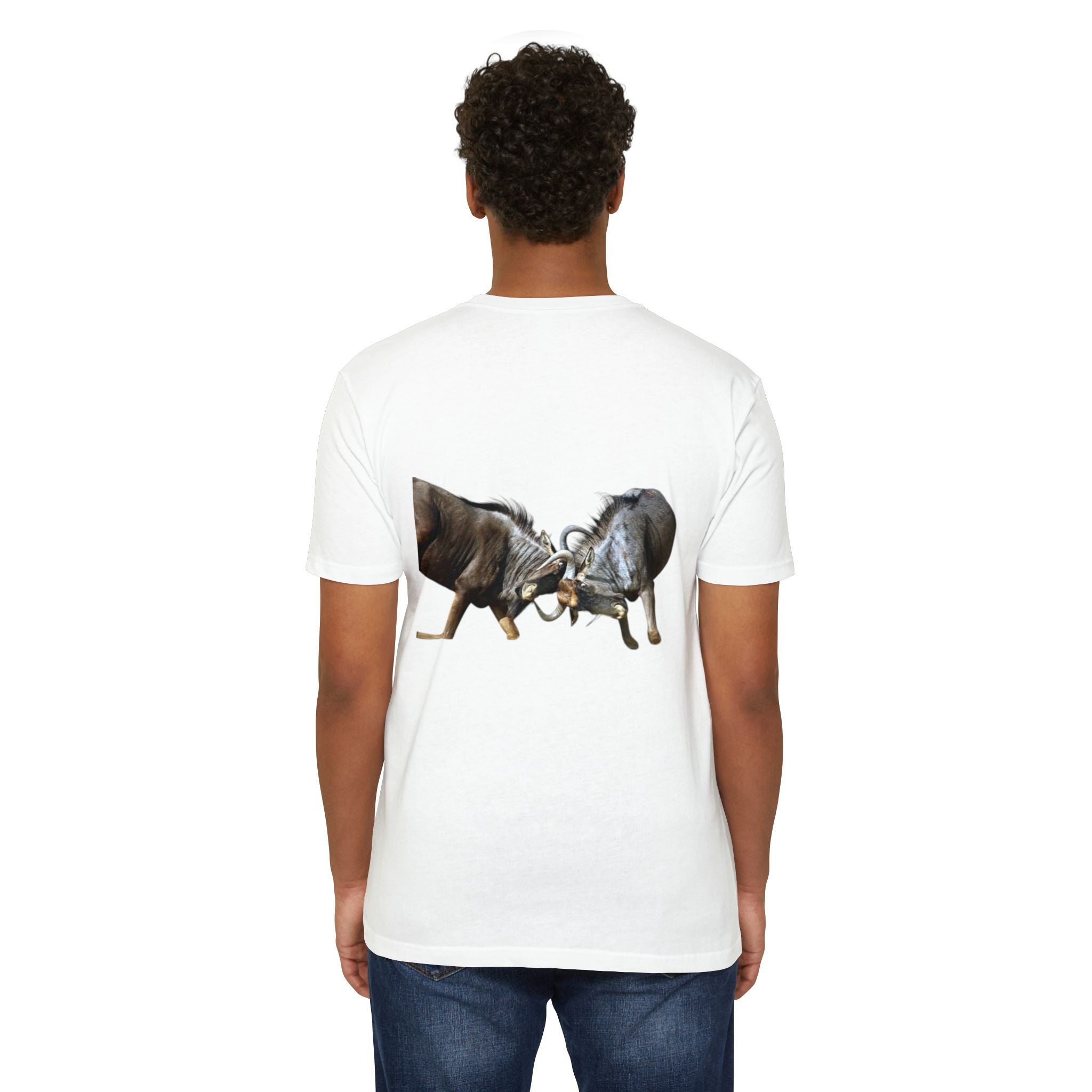 AIX Wildebeest Sparring