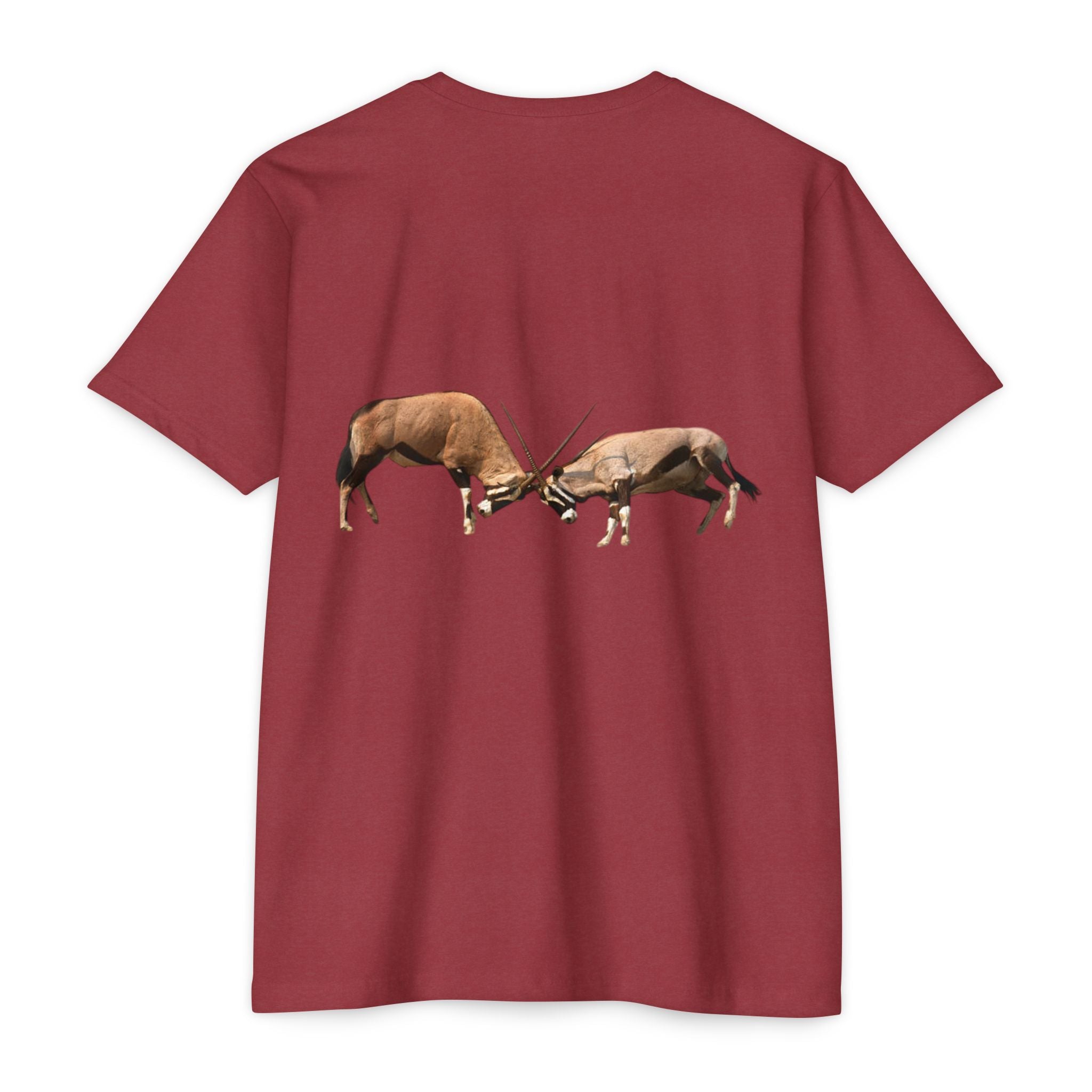 AIX Gemsbok Sparring