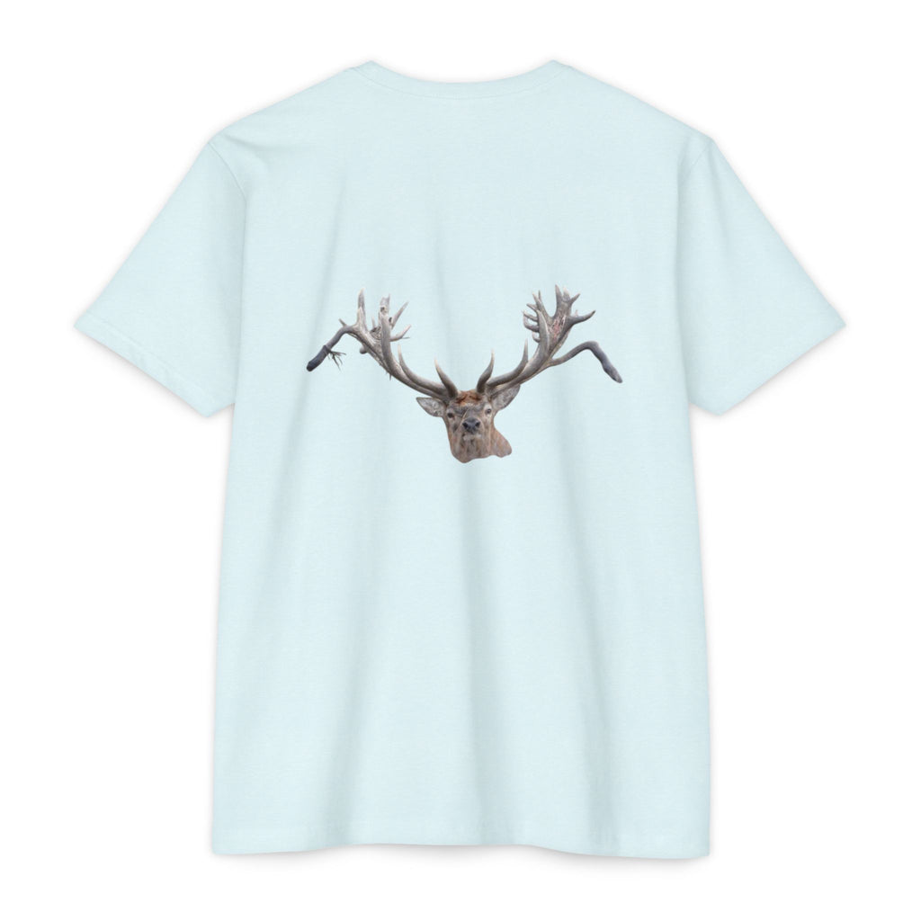 AIX New Zealand Red Stag