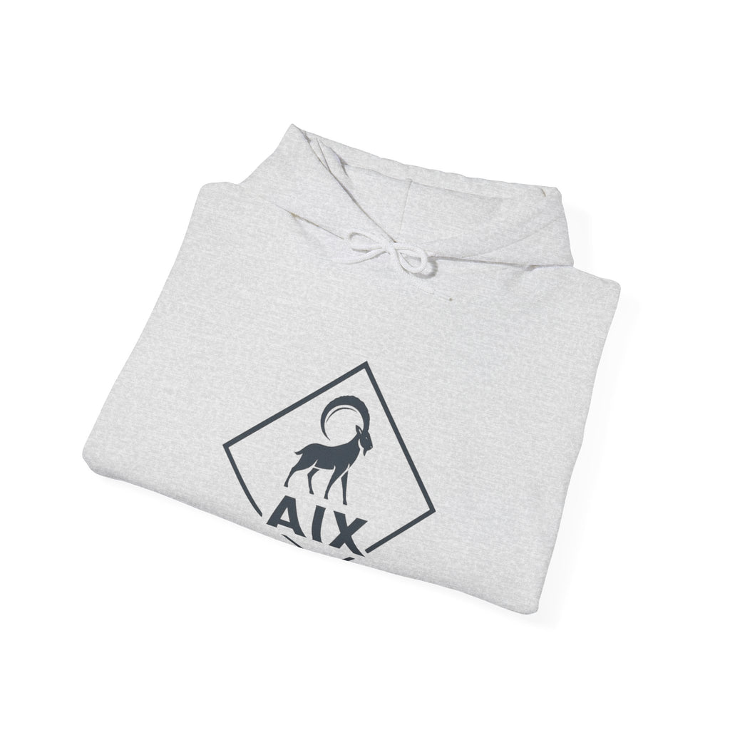 AIX Triangle Graphic Hoodie