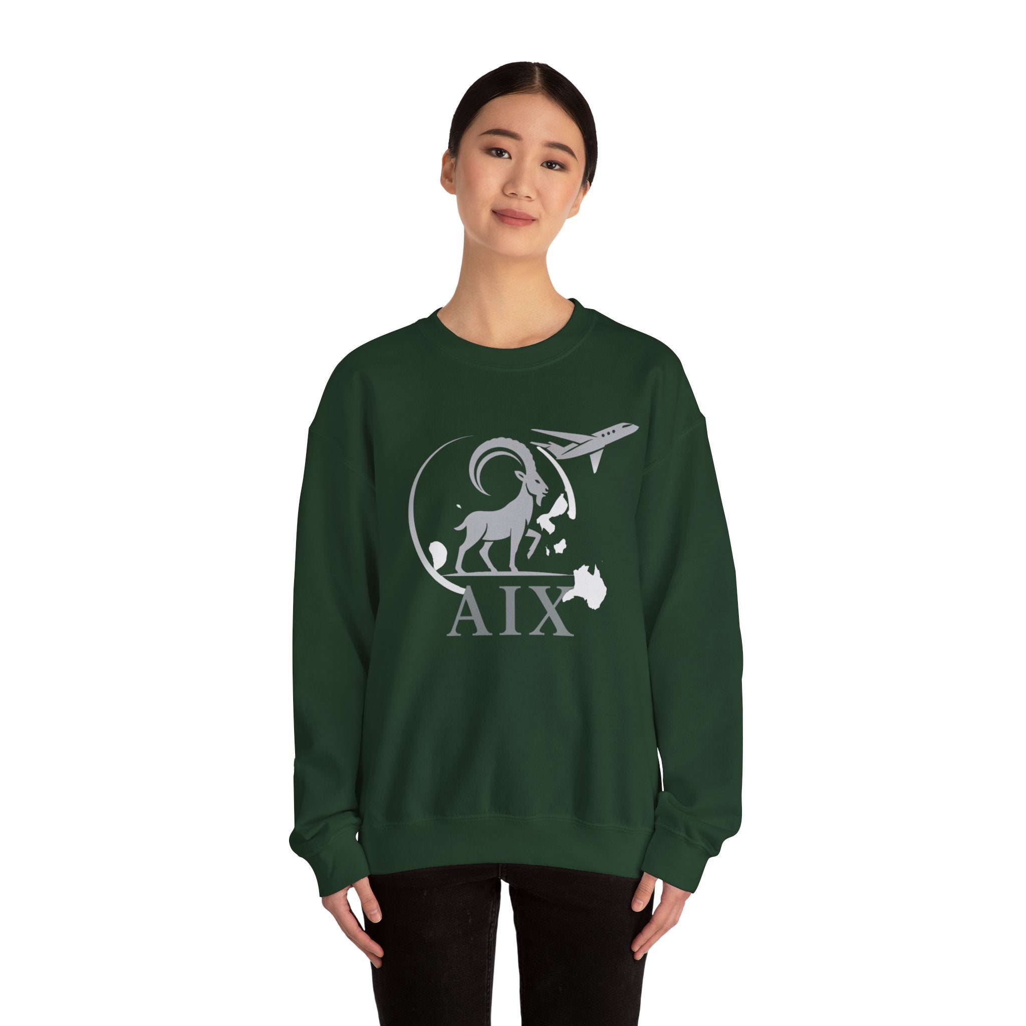 AIX Global Pullover