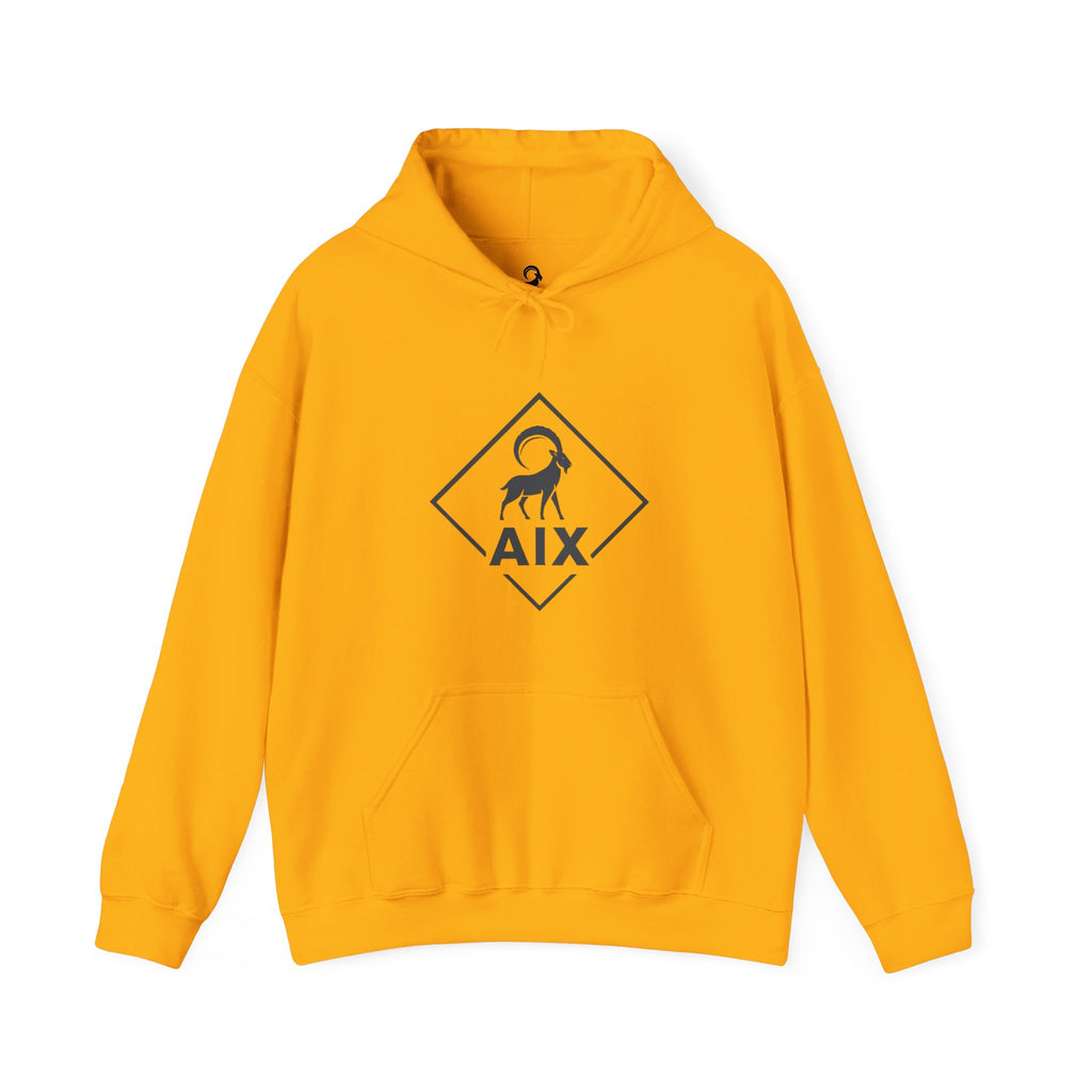 AIX Triangle Graphic Hoodie