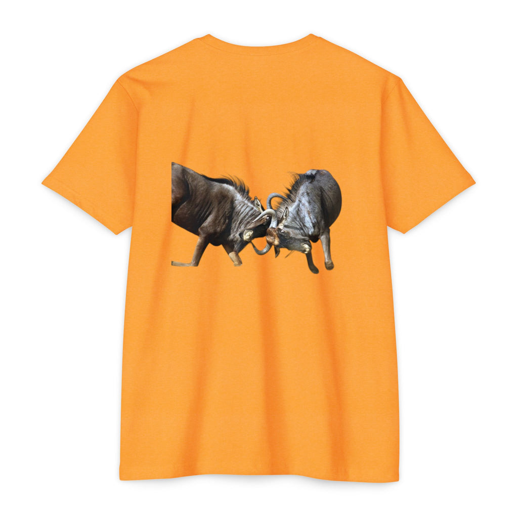 AIX Wildebeest Sparring