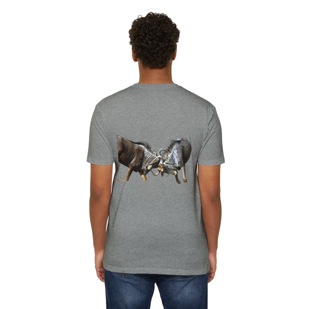 AIX Wildebeest Sparring