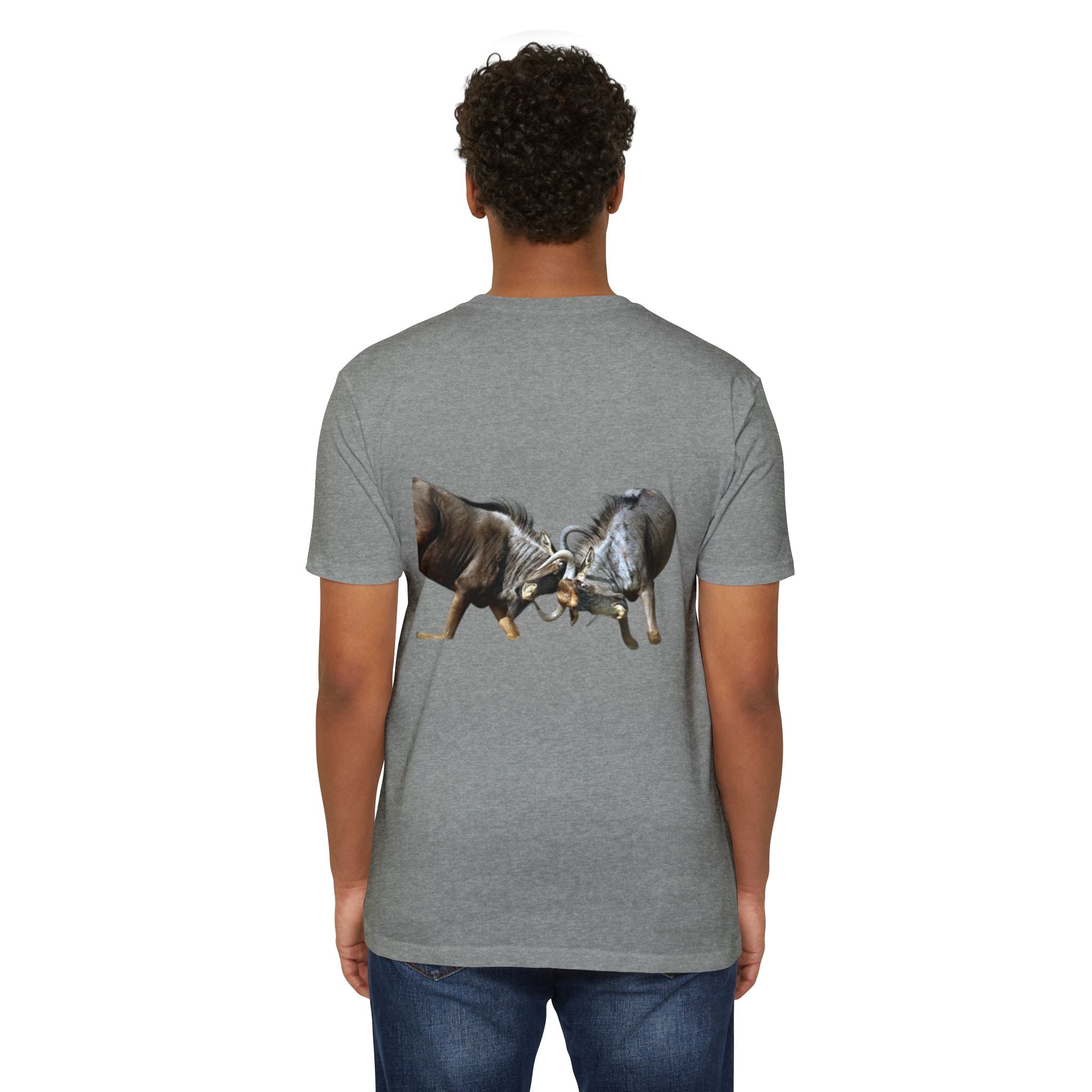 AIX Wildebeest Sparring