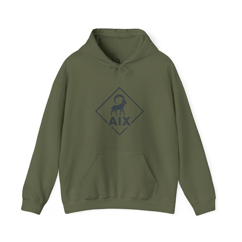 AIX Triangle Graphic Hoodie