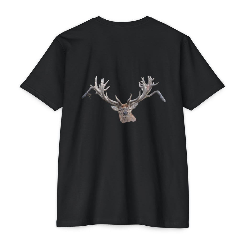 AIX New Zealand Red Stag