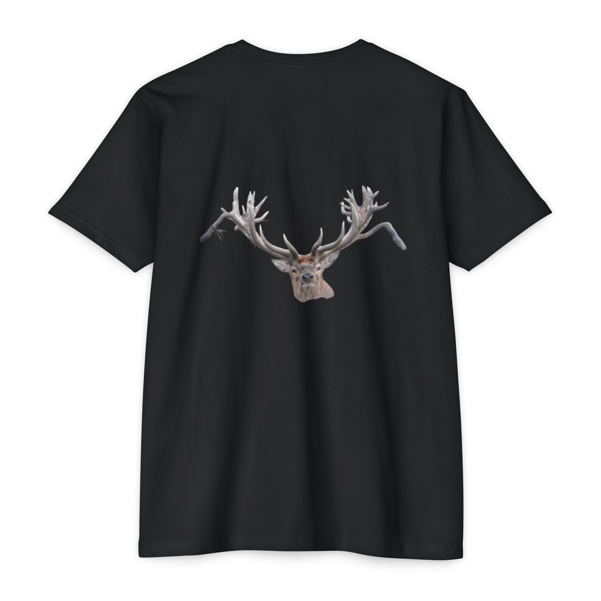 AIX New Zealand Red Stag