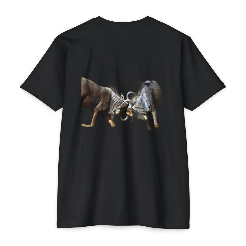 AIX Wildebeest Sparring