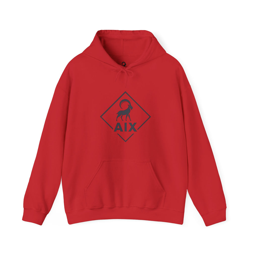AIX Triangle Graphic Hoodie