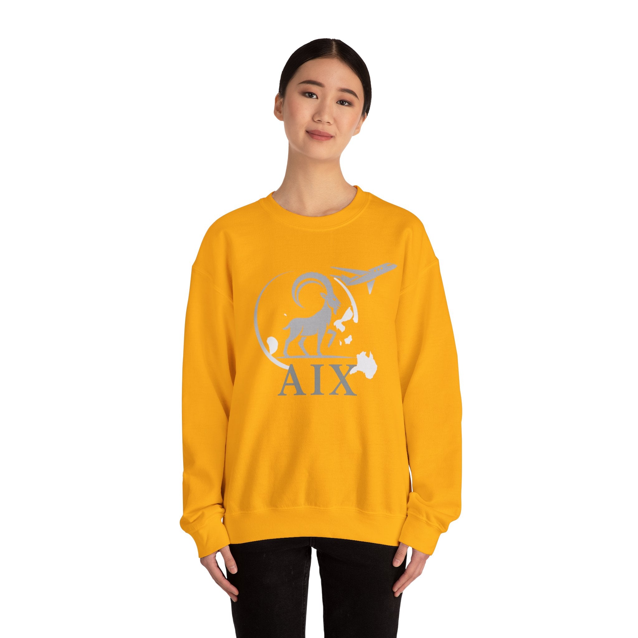 AIX Global Pullover