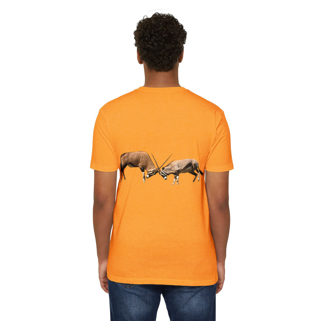 AIX Gemsbok Sparring