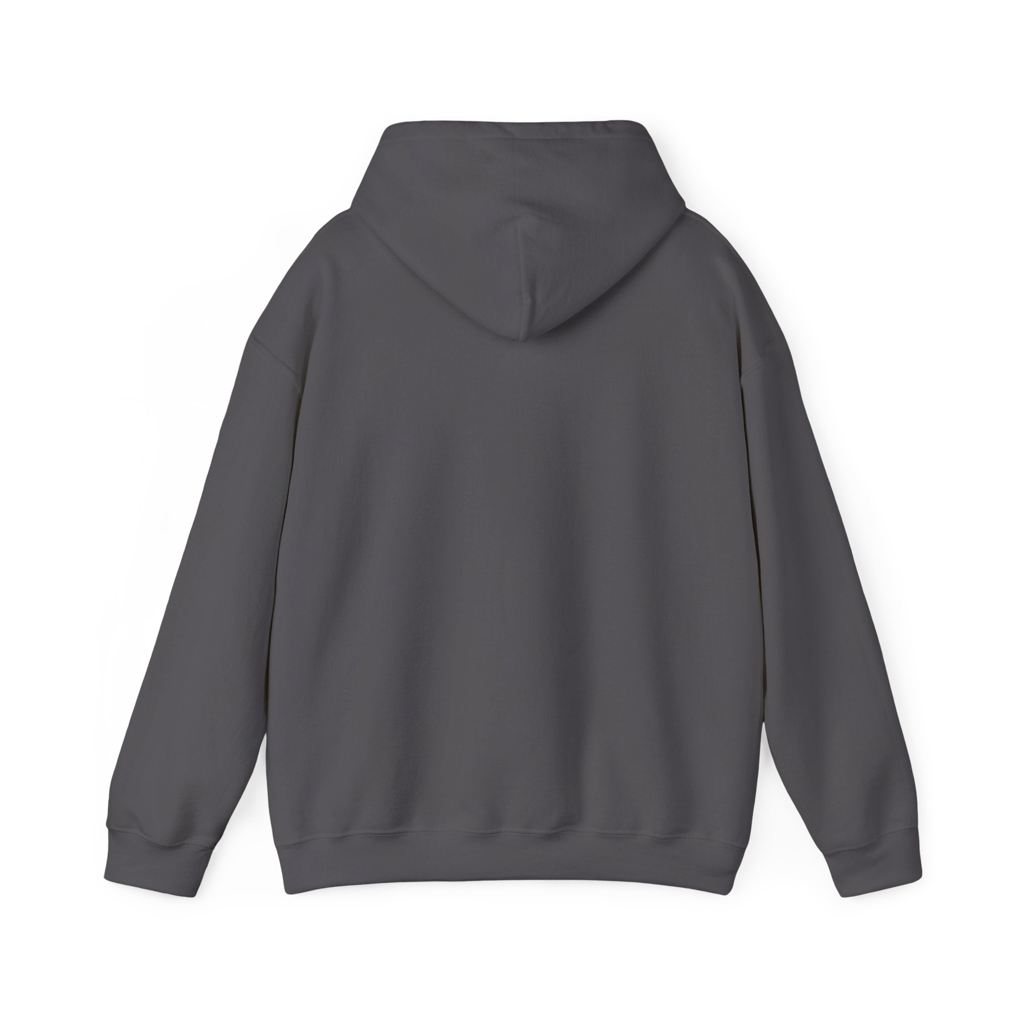 AIX Triangle Graphic Hoodie