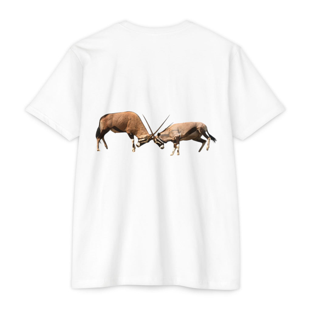 AIX Gemsbok Sparring