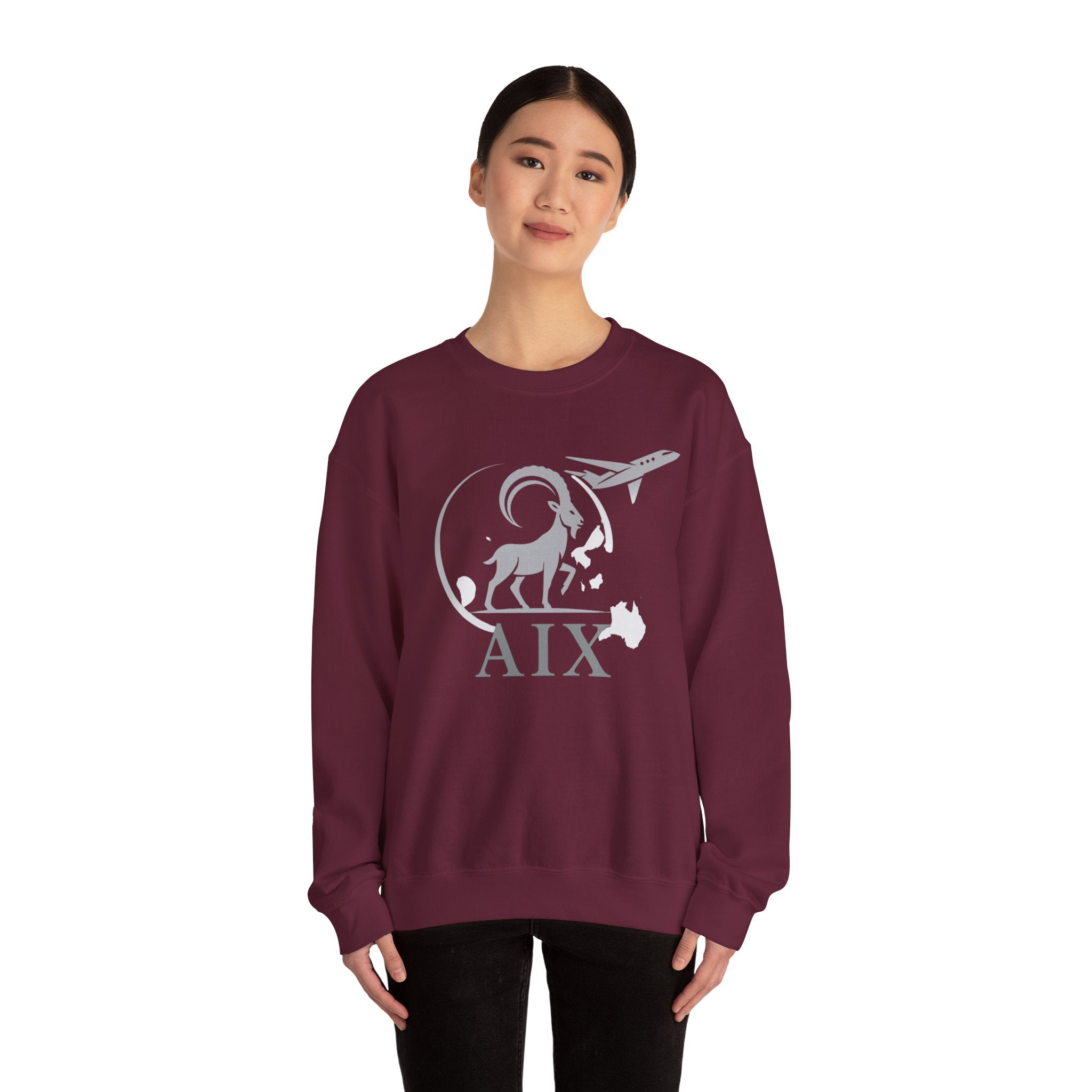 AIX Global Pullover