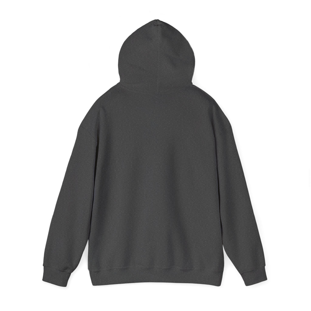 Axis Graphic Hoodie