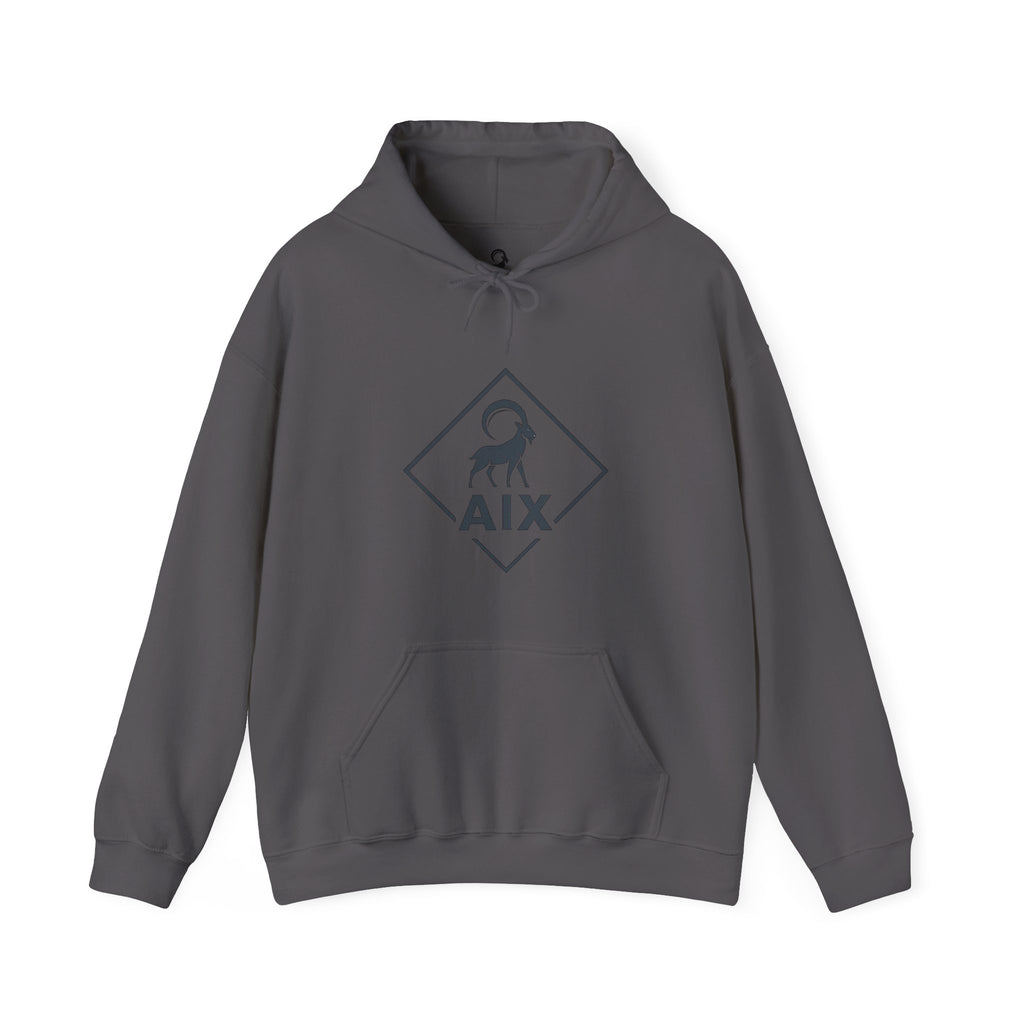 AIX Triangle Graphic Hoodie